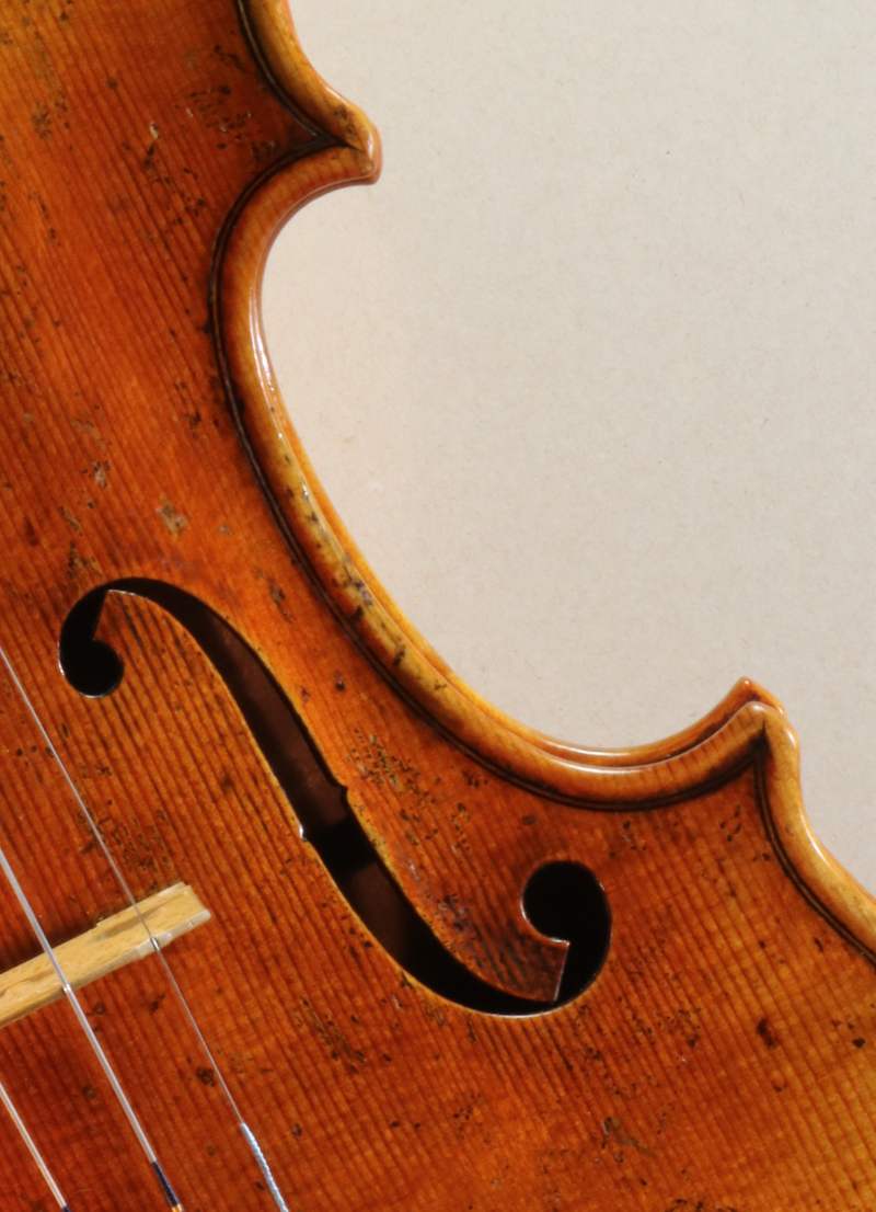 Corner and soundhole detail of a new violin