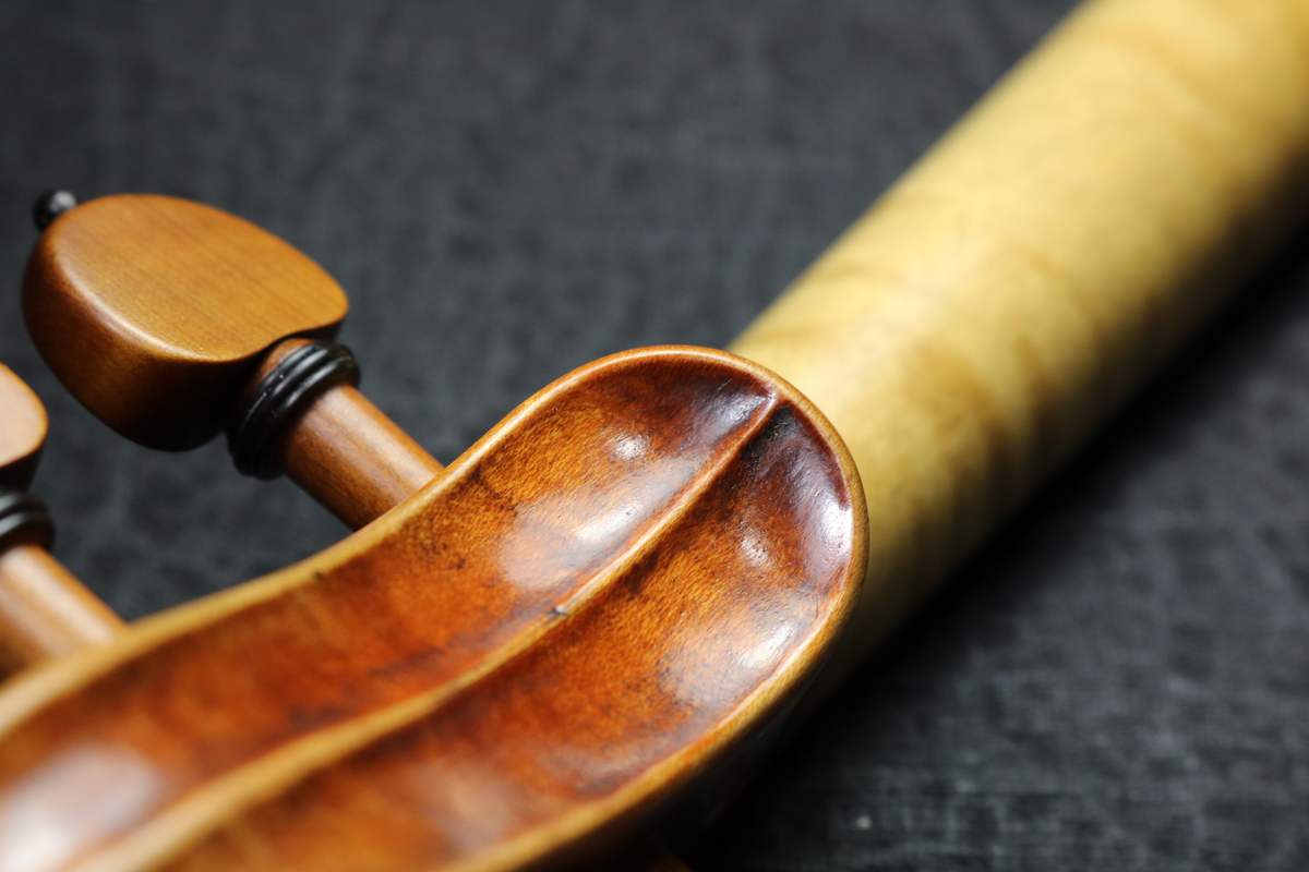Pegbox and neck of a new violin