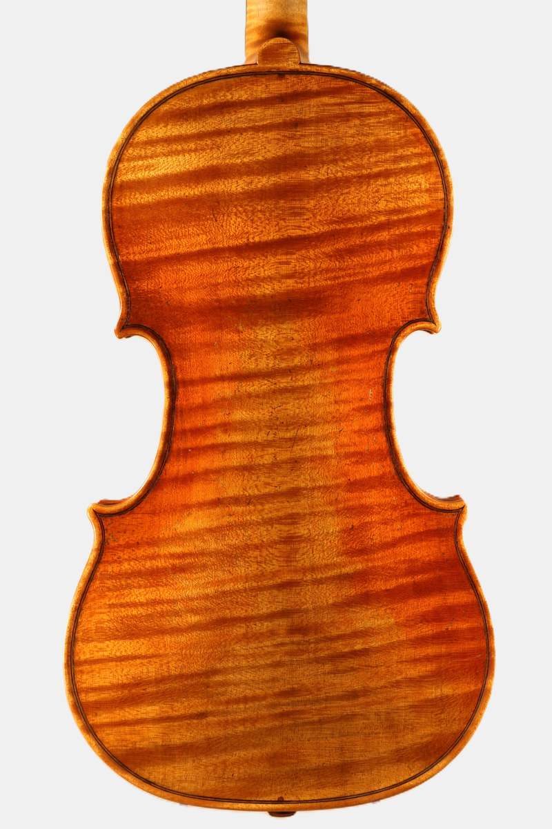 Back of a new violin