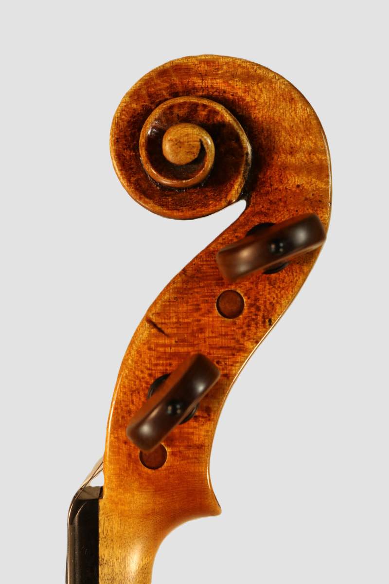 Scroll of a new violin, side view