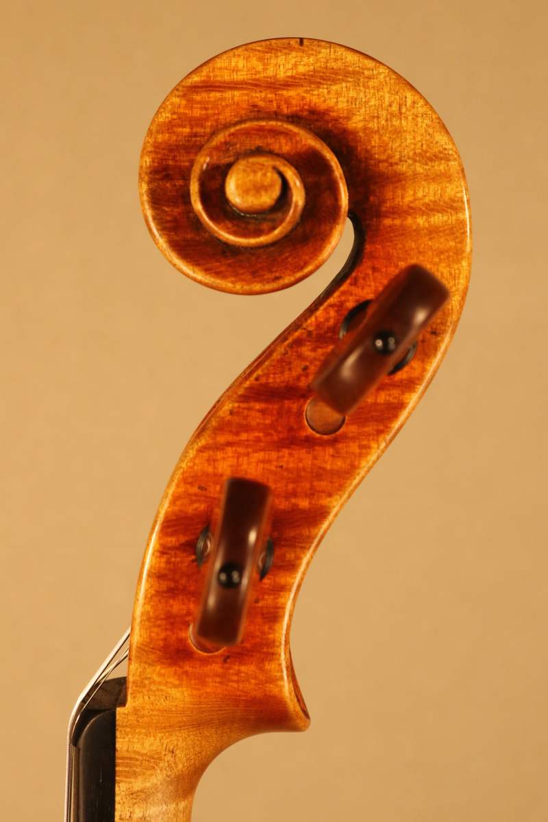 Scroll of a new violin