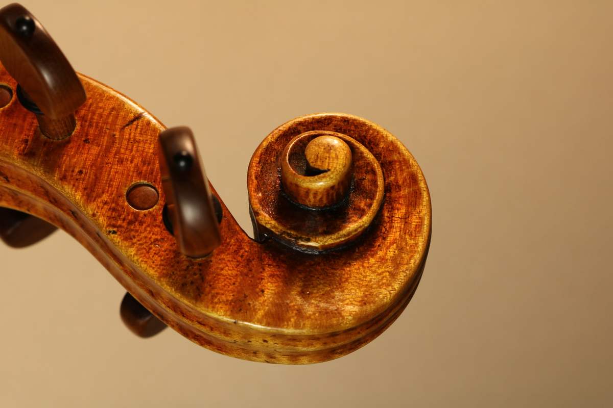 Scroll of a new violin seen from the front