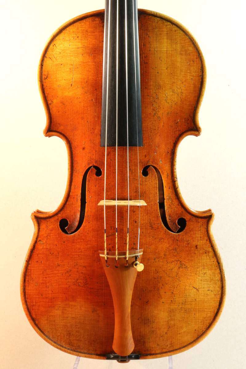 Front of a new violin, antiqued finish